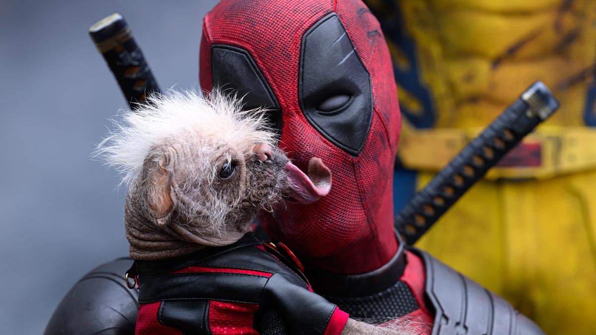 deadpool y wolverine-2024-resena Ryan Reynolds perro dogpool